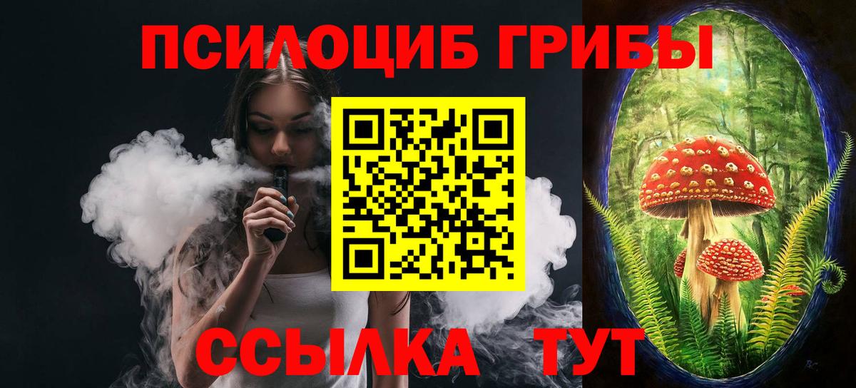 где продают наркотики  Галлюциногенные грибы ЛСД  Вход с VPN  Галлюциногенные грибы Psilocybine cubensis  Новочебоксарск 
